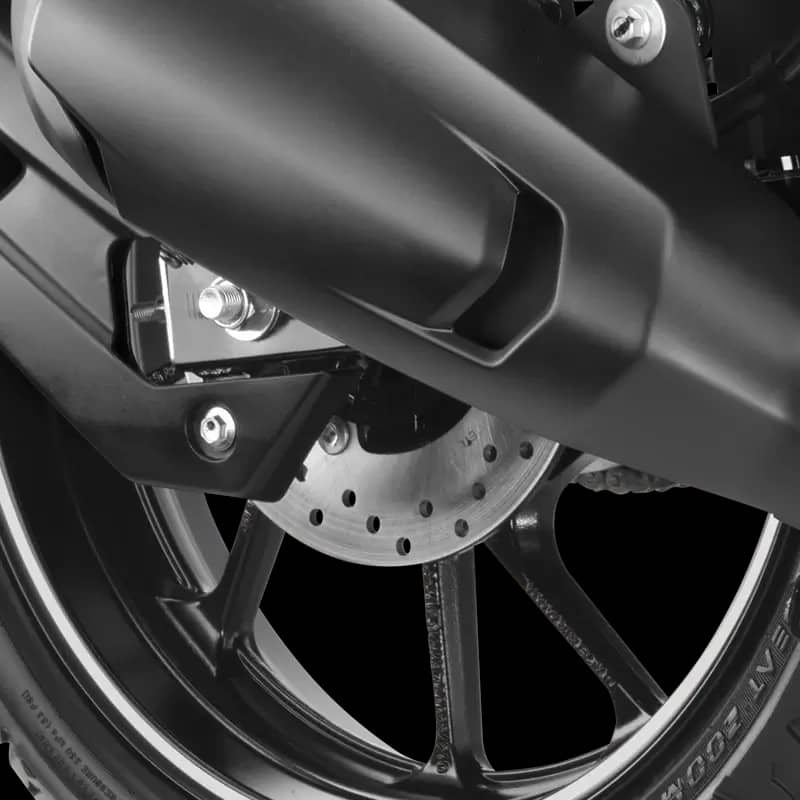 Rear Disc Brake