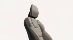 Dual-Tone Upholstery Design