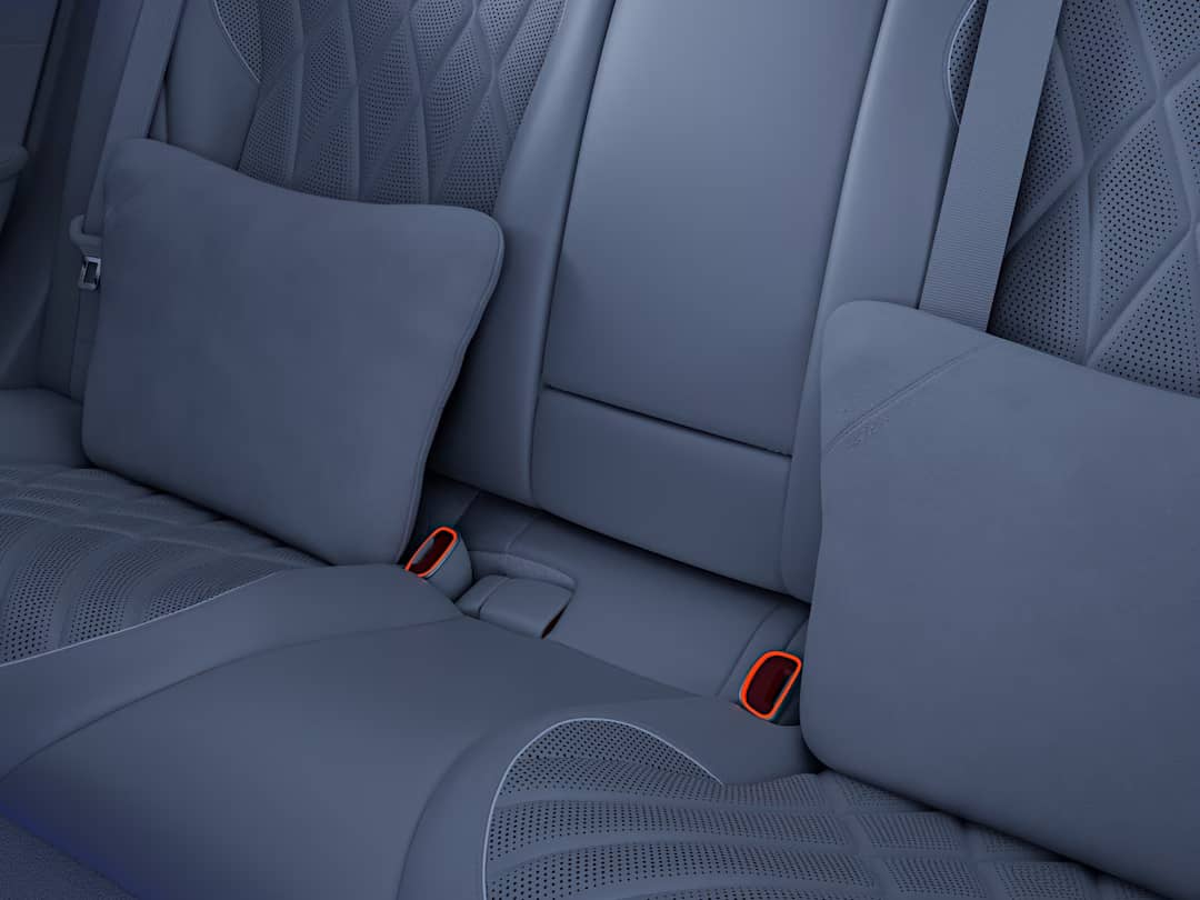 Design Belt Lock