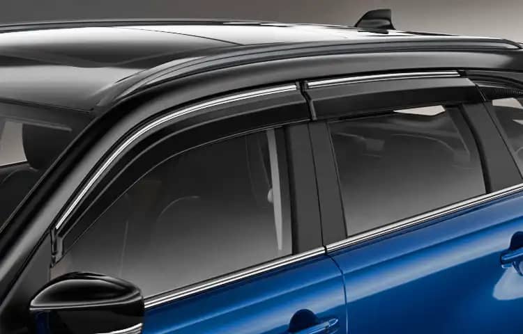 Door Visor