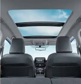 Panoramic Roof