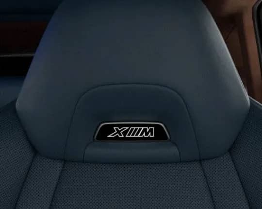 Embossed Seatback Emblem