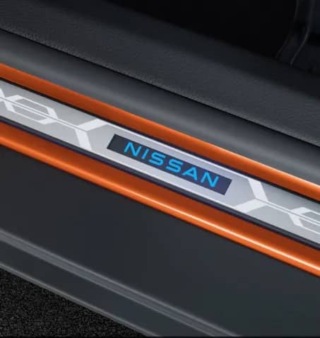 LED Scuff Plate