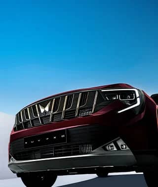 Signature Grille