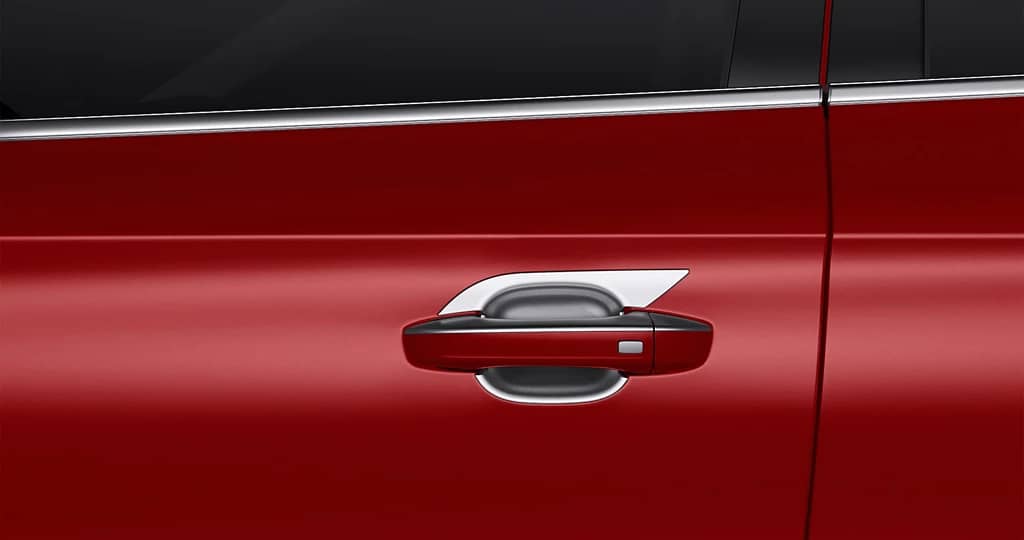 Chrome Door Handle