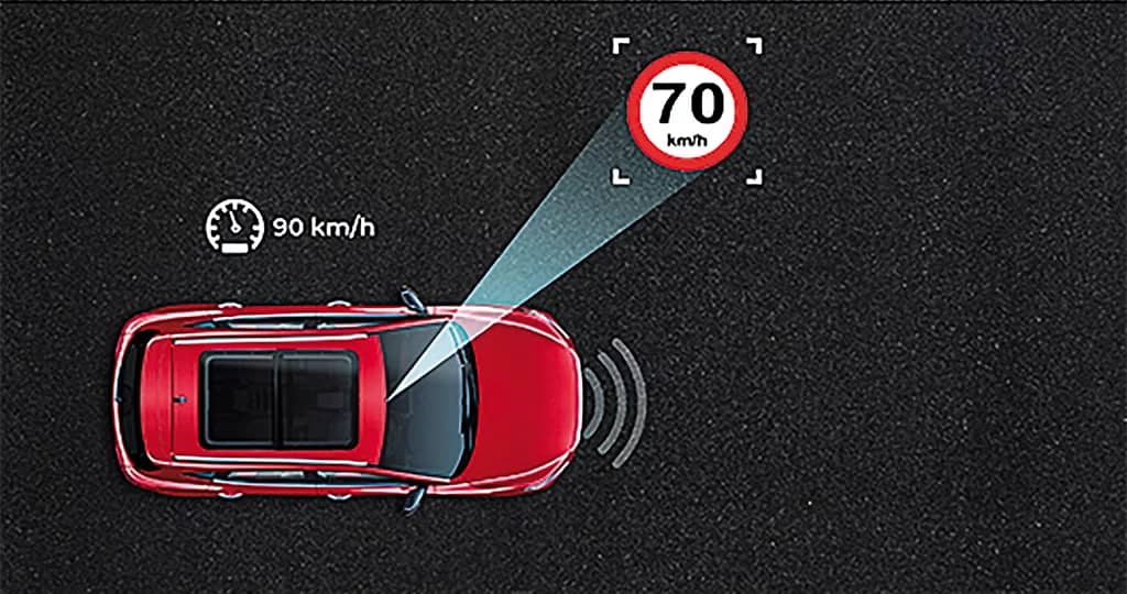 Speed Assist System