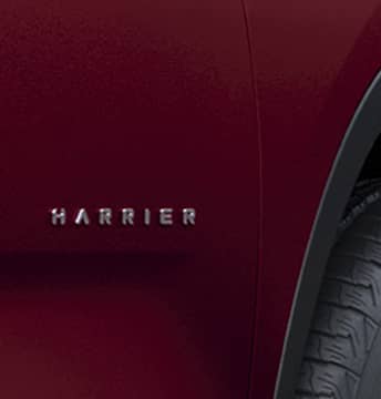 Signature Harrier Mascot On Doors