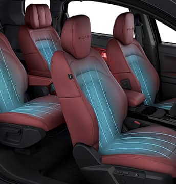 Ventilated Front and Second Row Seats (2nd row for 6S only)