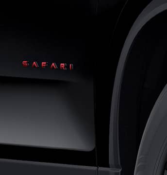Signature Safari Mascot on doors