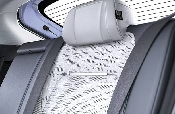 ErgoWing Headrest