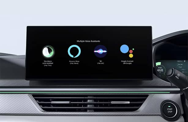 Multiple Voice Assistants