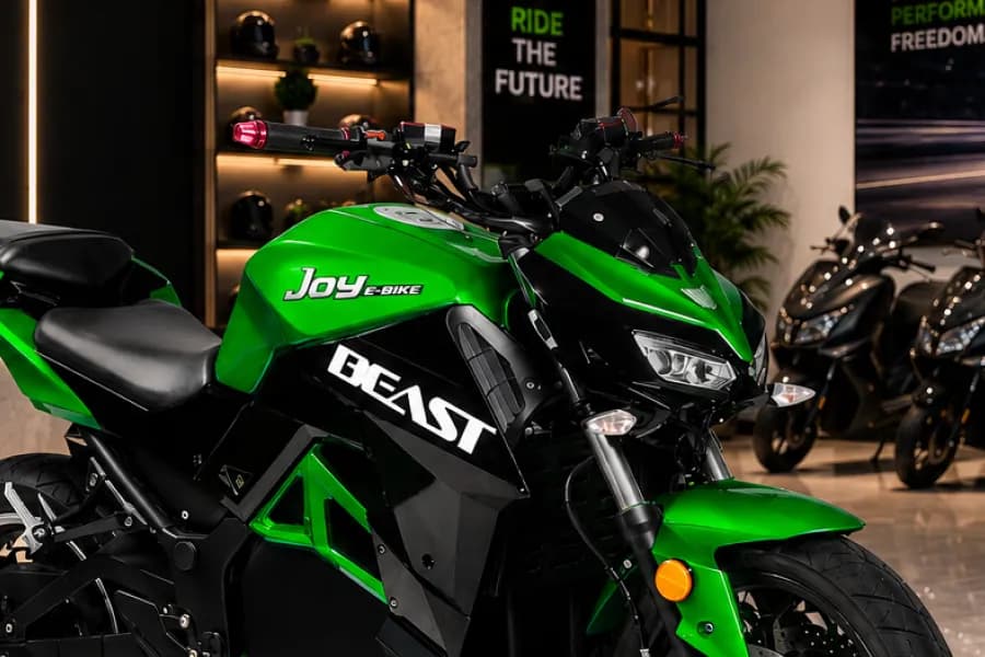 Joy E bike Beast Handle View