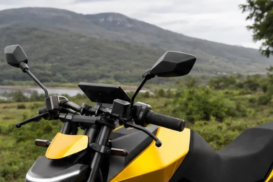 Ola Roadster Handle View