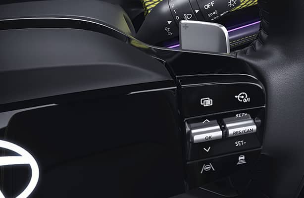 Dual Paddle Shifters