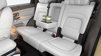 3-Point ELR Seat Belt