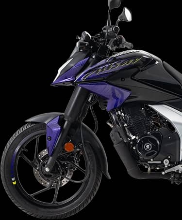 Front Disc Brake & Reflector