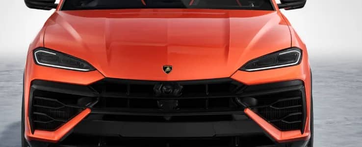 Front Grille