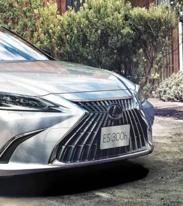 Chrome grills
