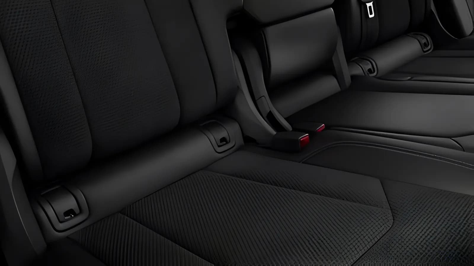Audi Q8 Rear Seat View
