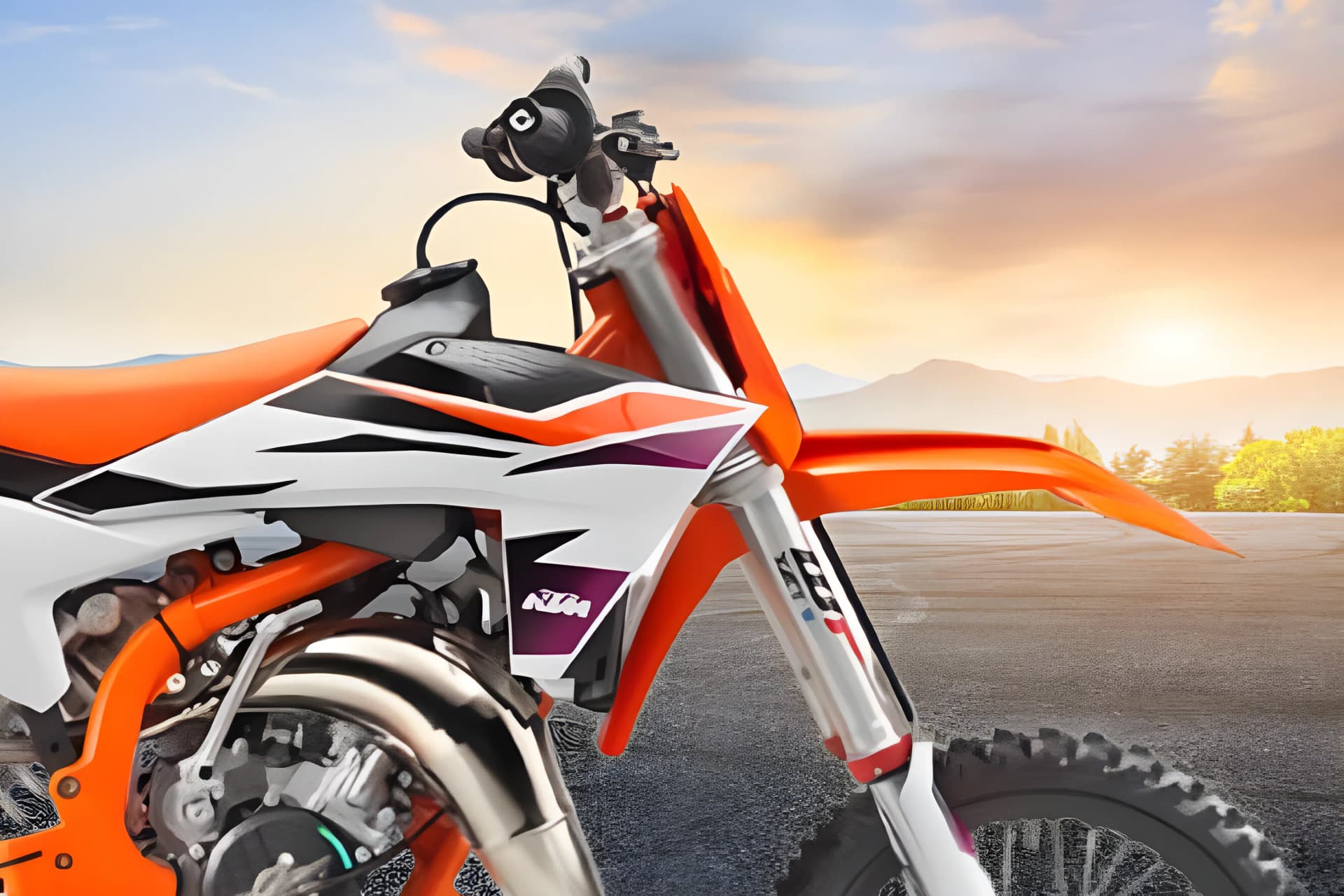 KTM 65 SX Front Suspension