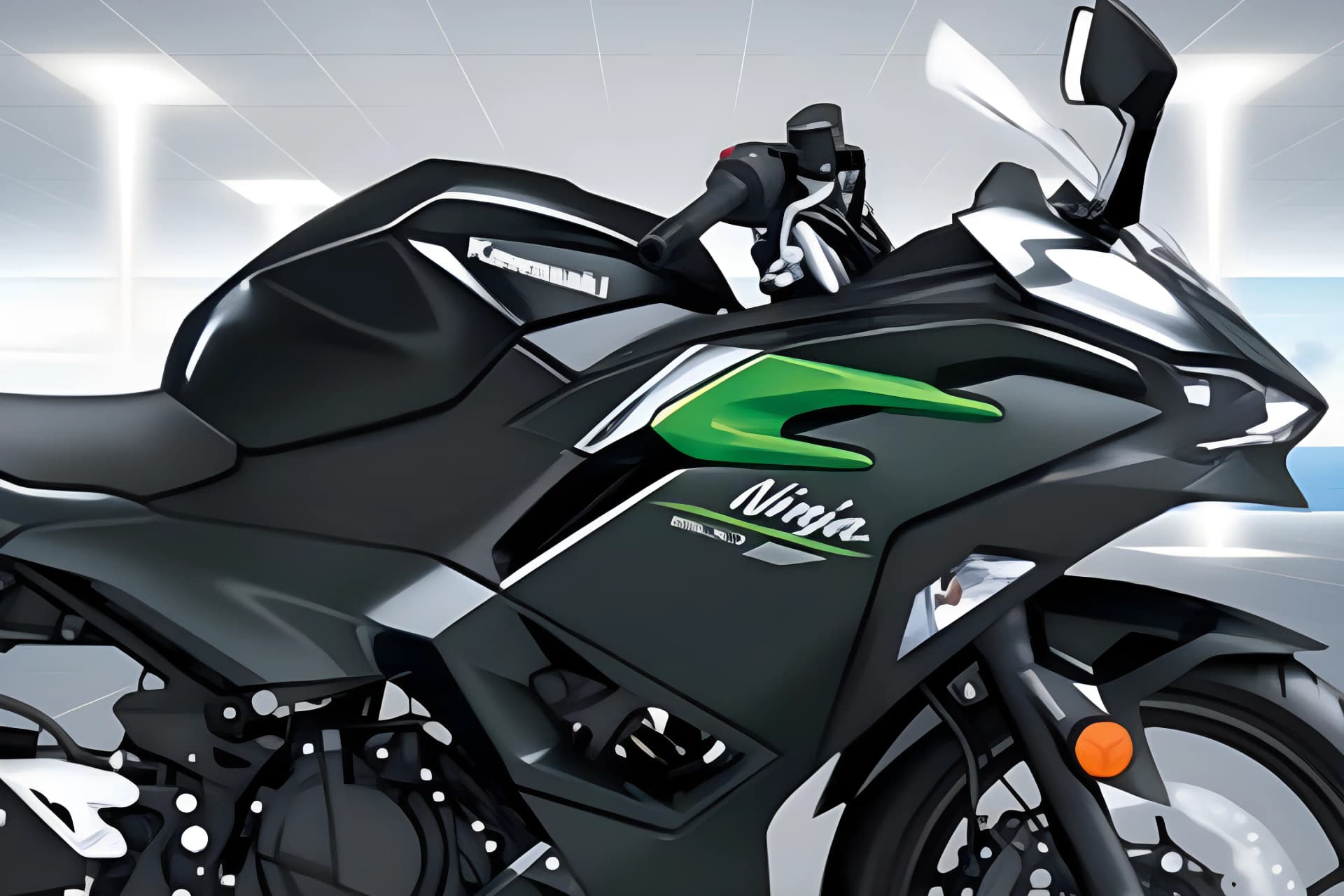 Kawasaki Ninja 500 Fuel Tank View