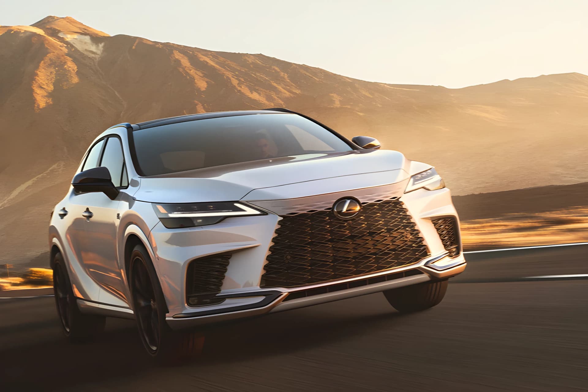Lexus RX Hybrid Front Grille View
