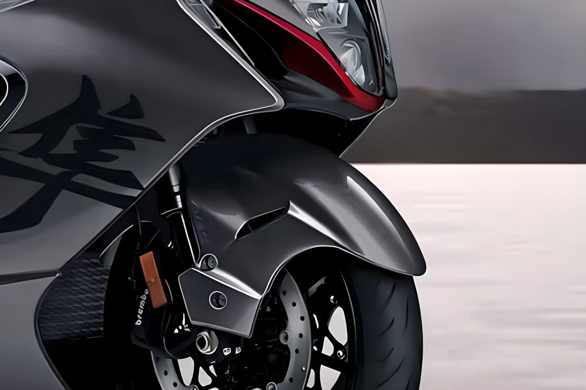 Suzuki Hayabusa Mudguard View