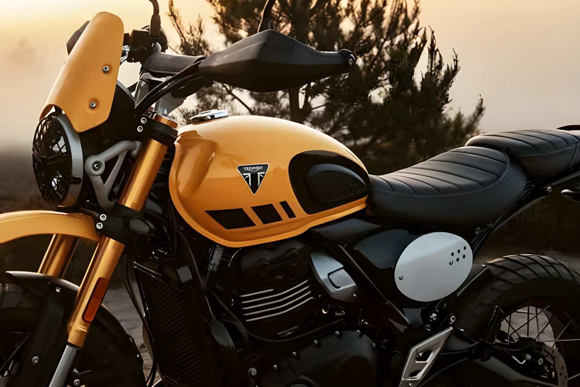 Triumph Scrambler 400 XC Handle View