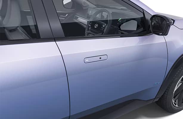 Flush door handles